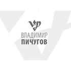 ВЛАДИМИР ПИЧУГОВ